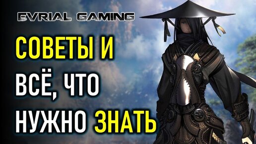 BLADE AND SOUL: СОВЕТЫ НОВИЧКАМ ГАЙД ПО ИГРЕ BLADE & SOUL