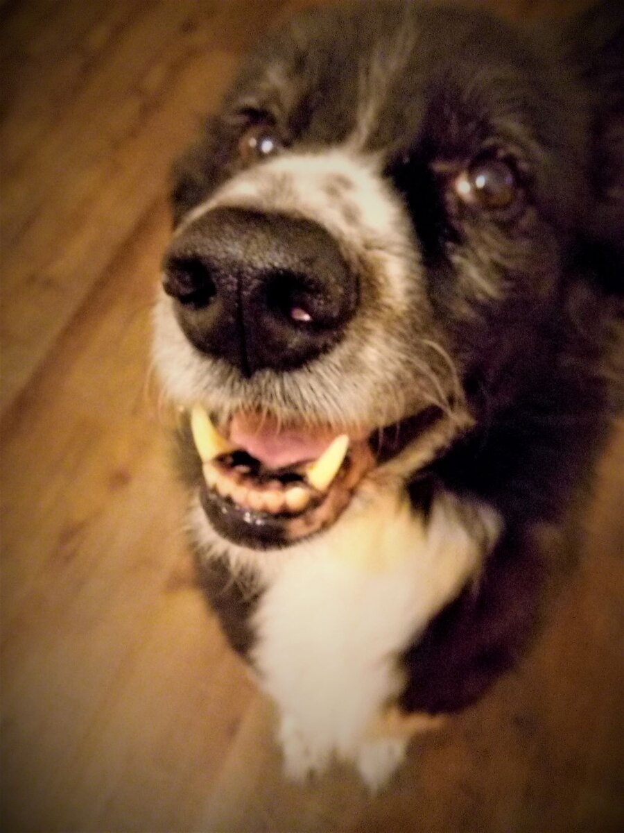 Уже 11 лет девушке