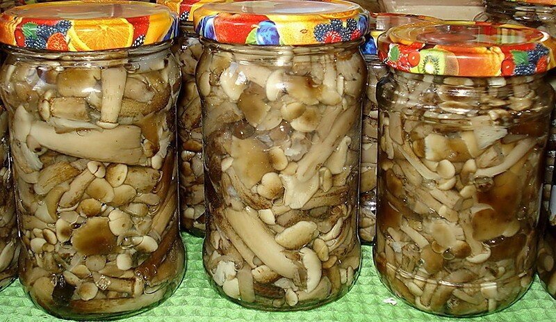 Засолка грибов. Иллюстрация для статьи используется с сайта korolevskidub.ru