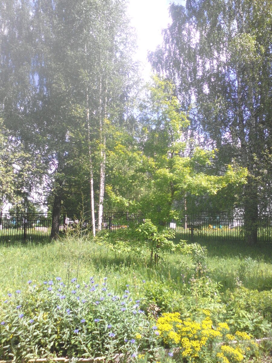 Фото автора.