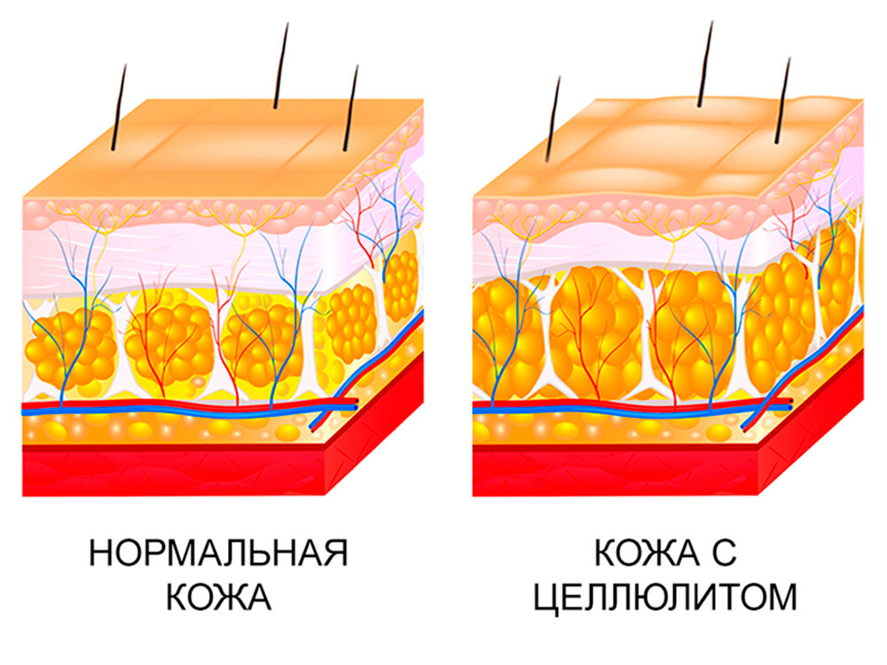 Добавьте описание