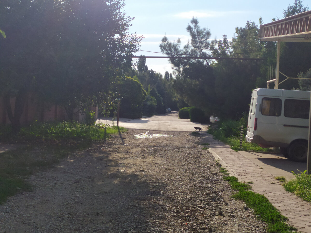Фото автора