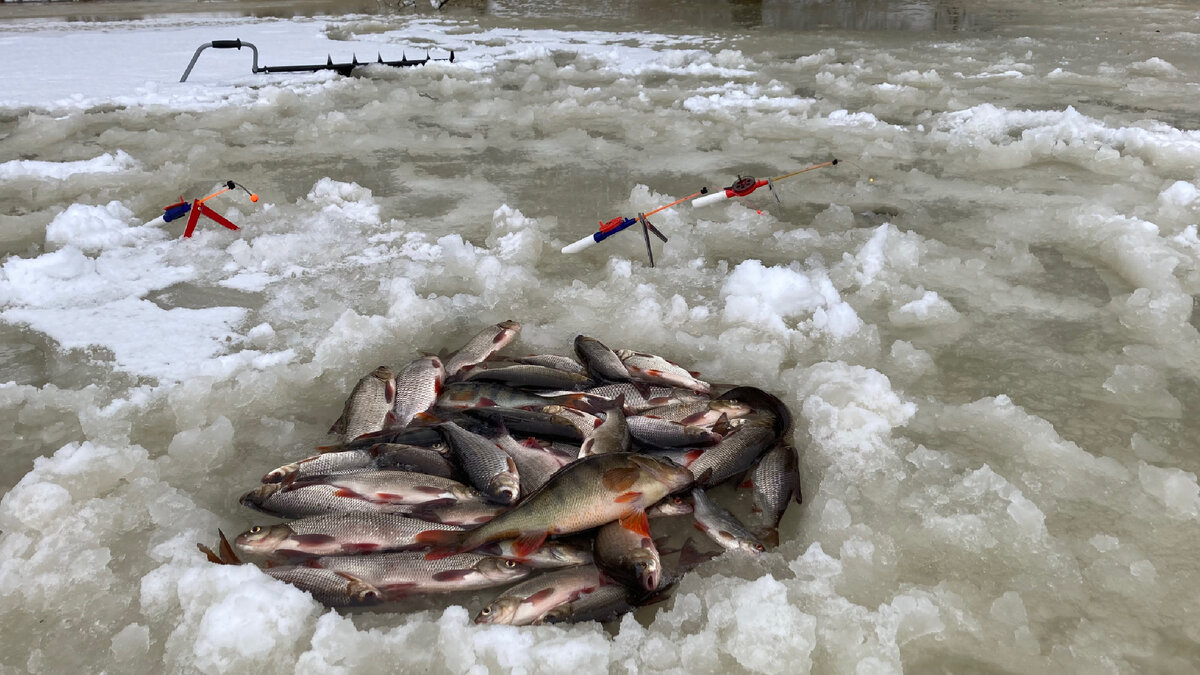 Рыбалка на льду 2021-2022: новости, советы, рекомендации