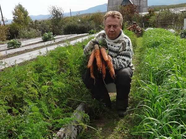 Как создать на даче теплые грядки без сорняков по методу Игоря Лядова