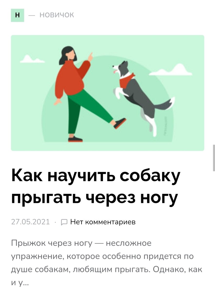 Скриншот сайта dogtricks