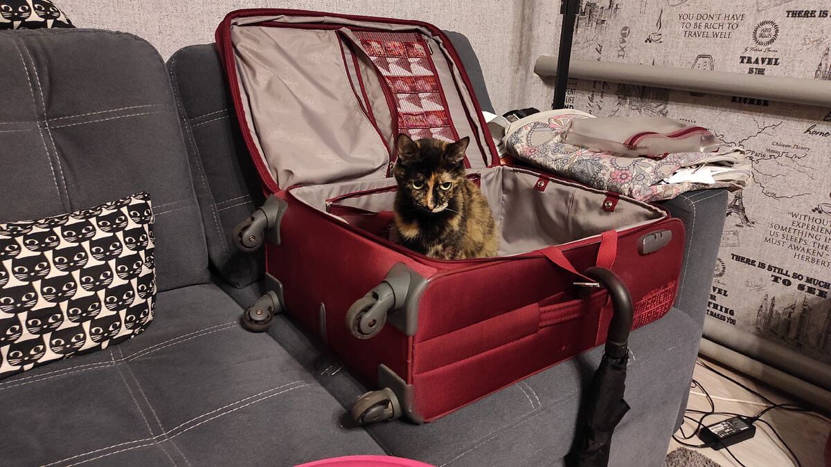 "Ну и куда на этот раз?". Фото: Кирилл Полиенко/Polienko: путешествуем вдвоём