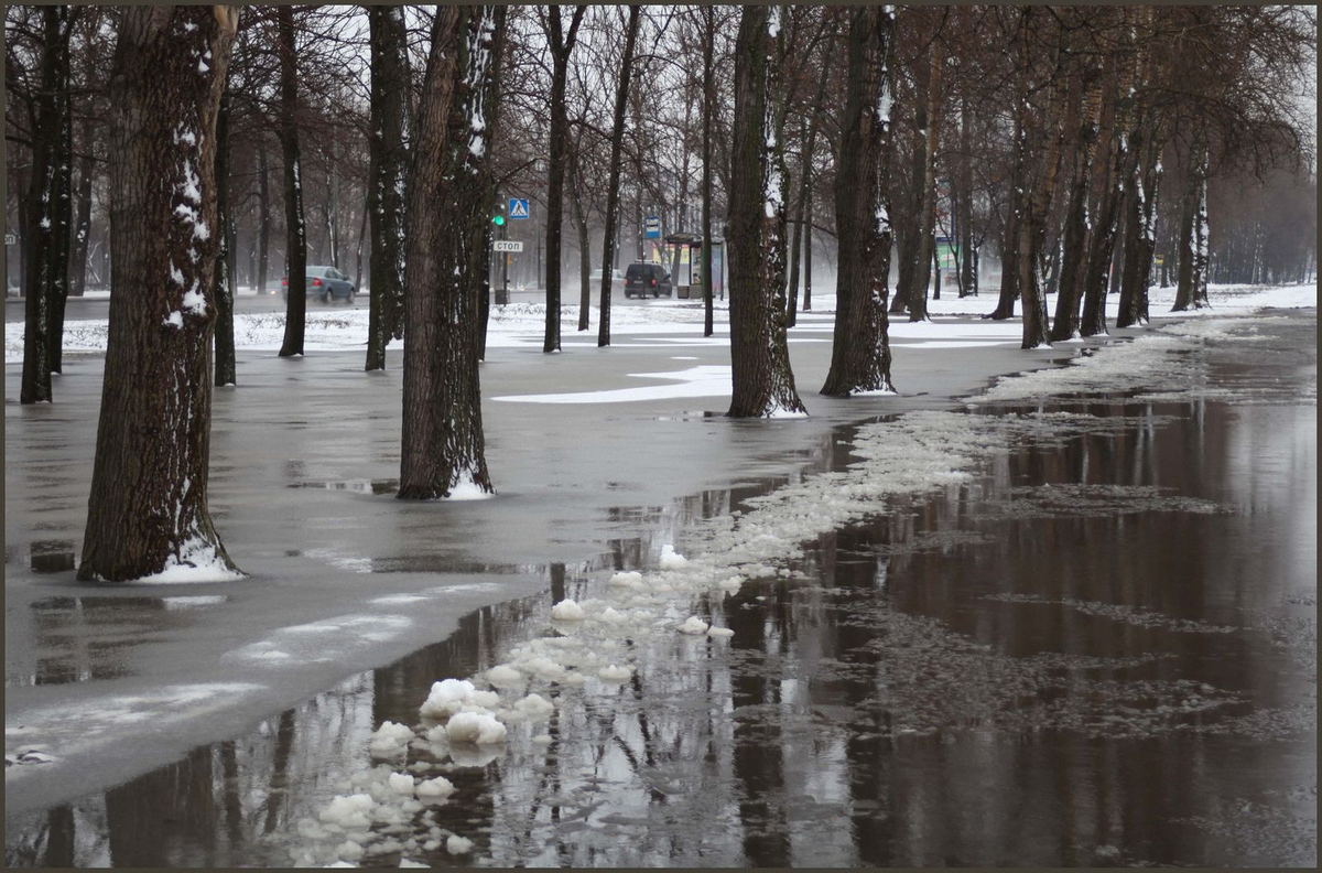 Начало теплеть. Оттепель. Оттепель зимой. Таяние снега в Москве. Оттепель тает снег.