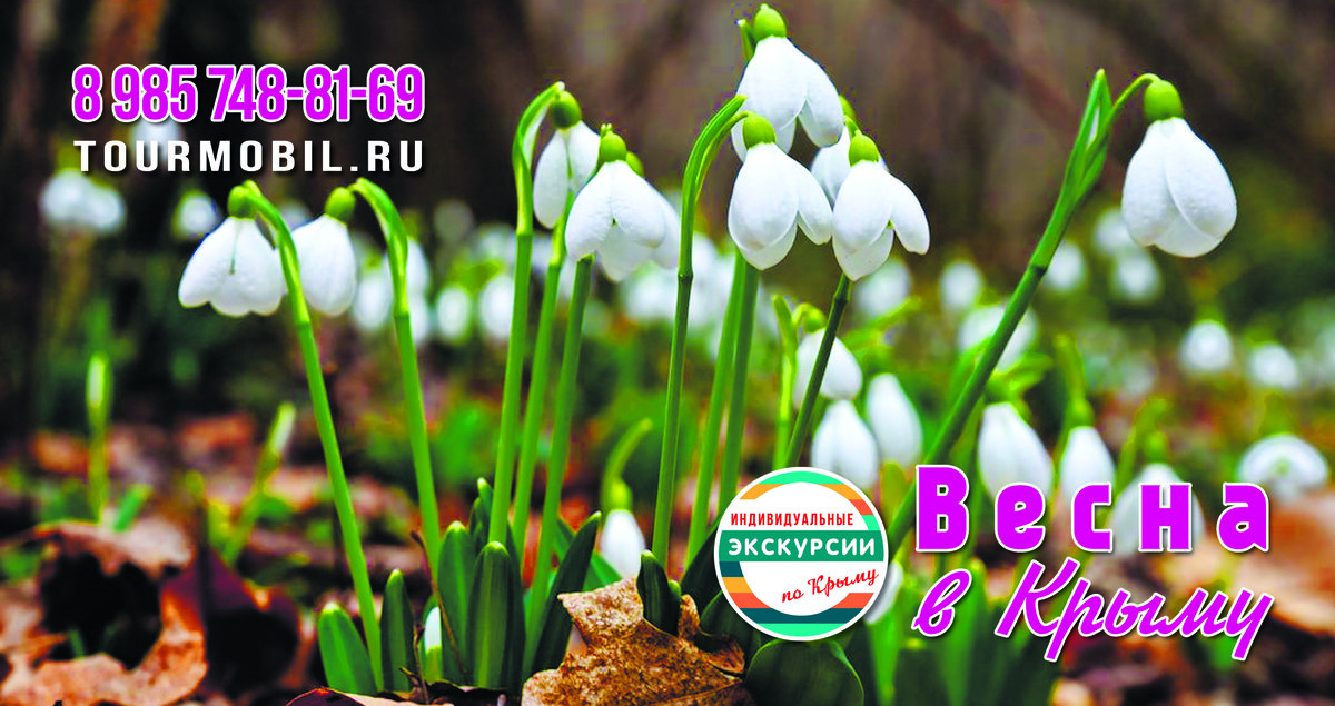 Февраль. Зацвели подснежники