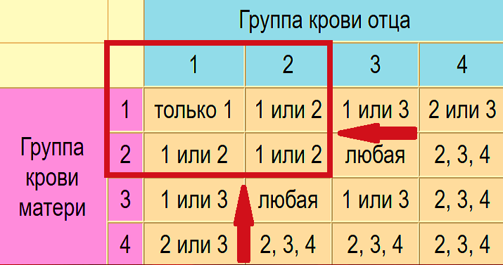 Группы Крови Таблица Фото - Telegraph