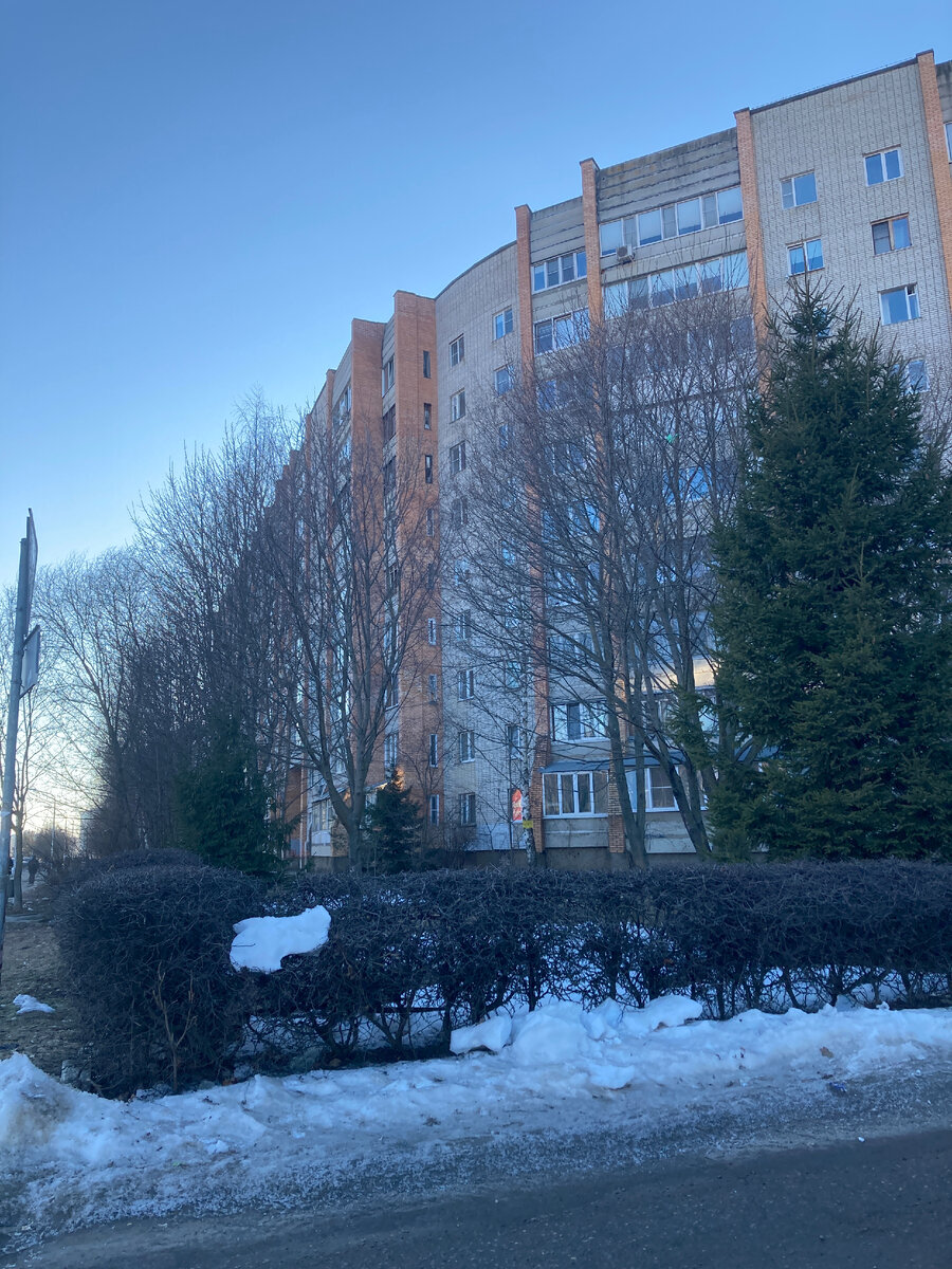 Фото автора. Вчерашняя прогулка. Красоты пока нет. Снега полно.