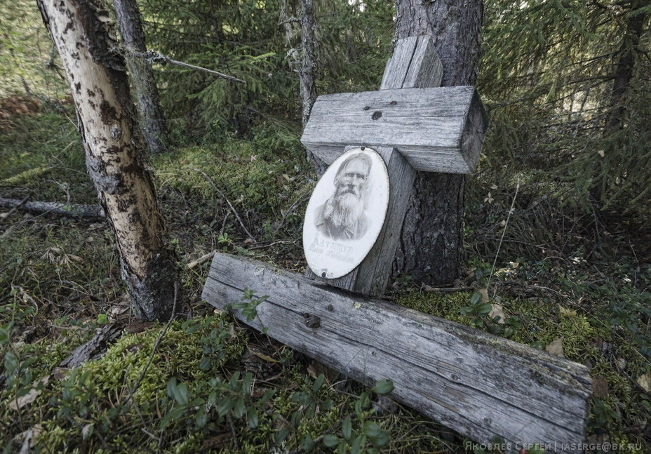 фото с сайта https://clck.ru/h3ft8