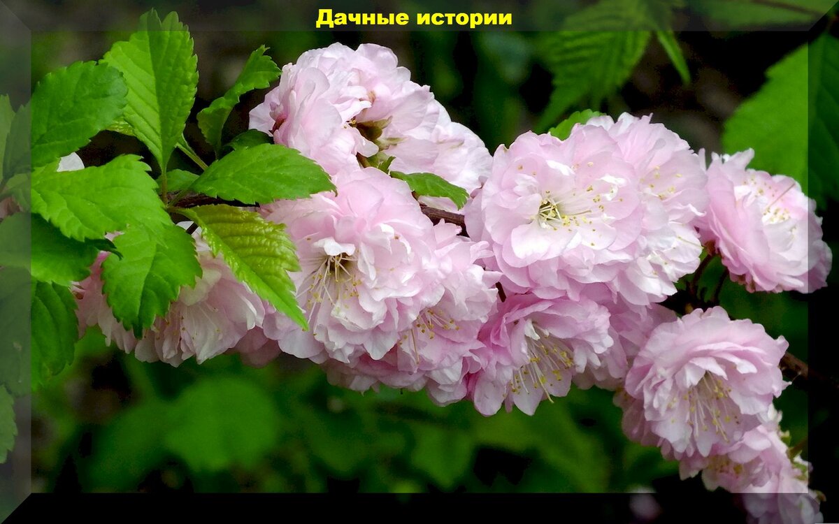 https://vk.com/photo-159774511_457253596