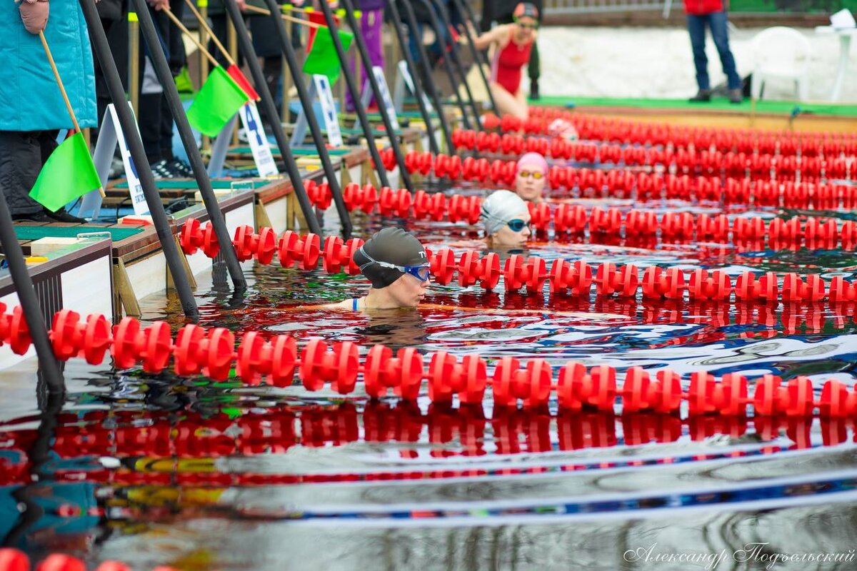 Источник: Официальный сайт Международного Чемпионата по зимнему плаванию https://kareliawinterswim.ru/