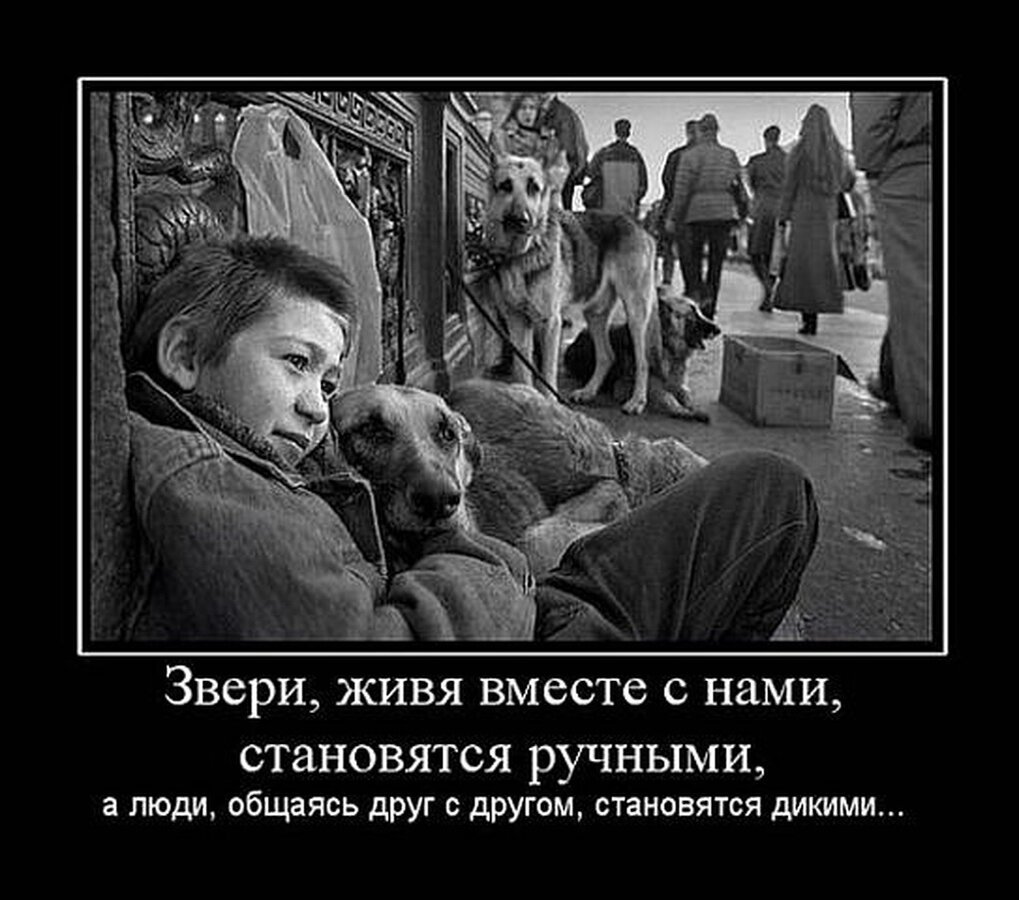 Россияне вы твари особенно москвичи. Звери лучше людей. Чужой среди людей. Животные лучше чем люди.