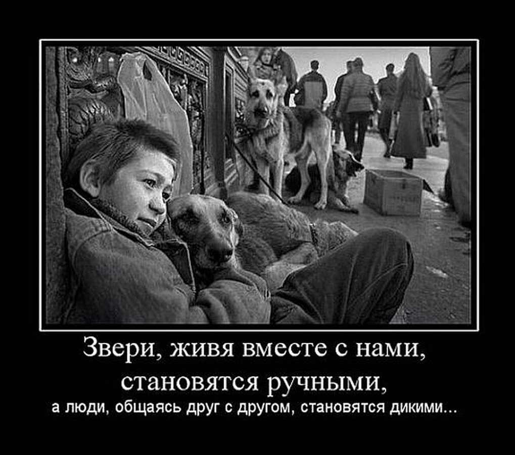 Почему крыжнев не свой а хуже чужого
