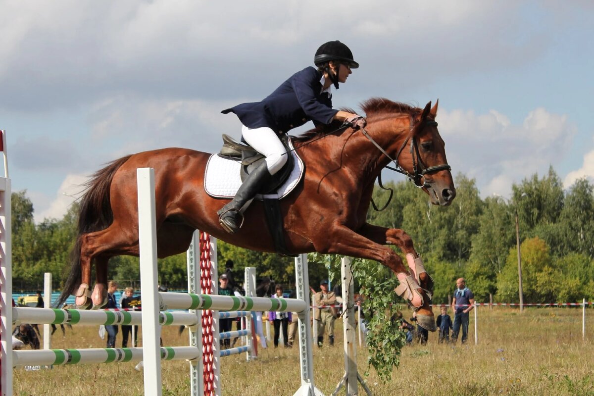 Рыжик в те времена, когда он еще был моим. Фото Д. Соловьева