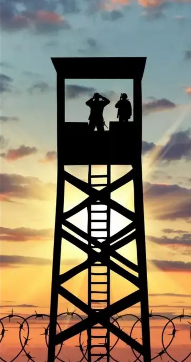 Фото из интернета. 