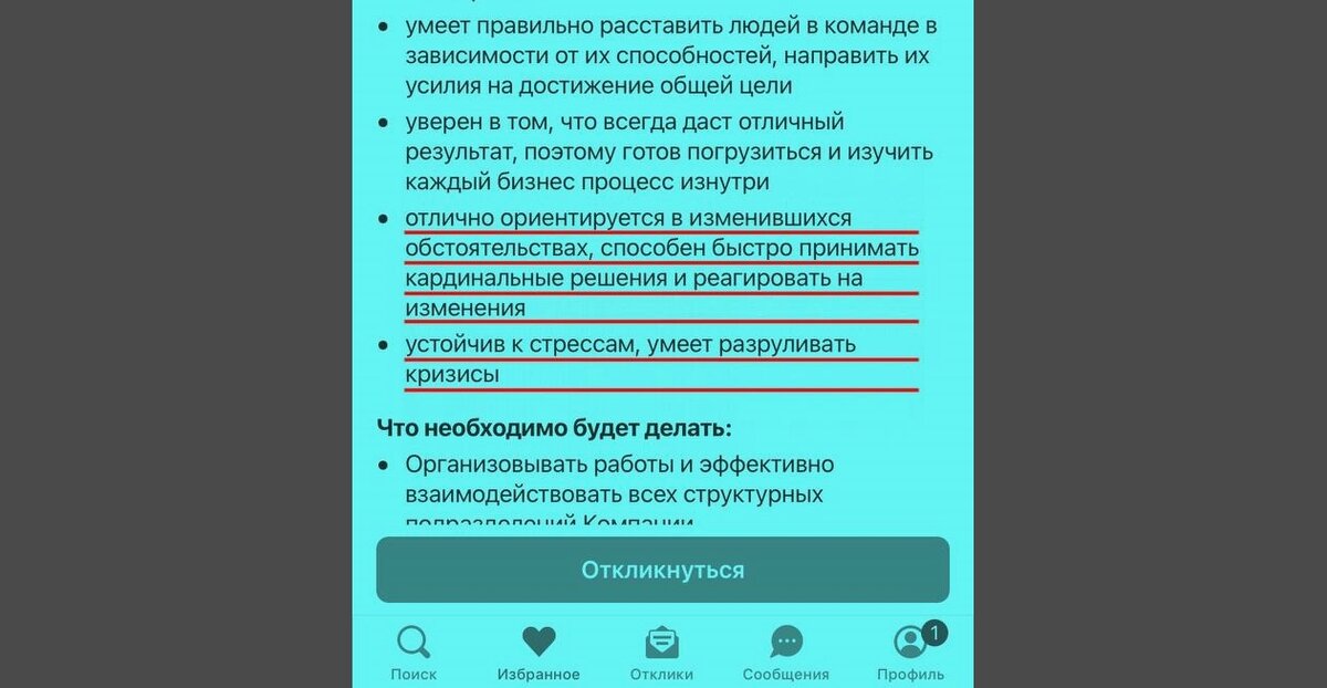 Пример требований в описании вакансии специалиста регулярного контроля бизнес-процессов