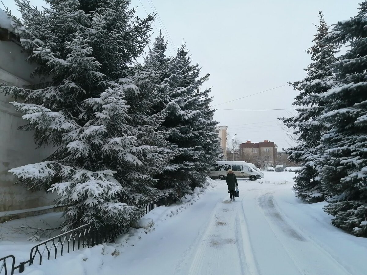 Фото: Царьград.