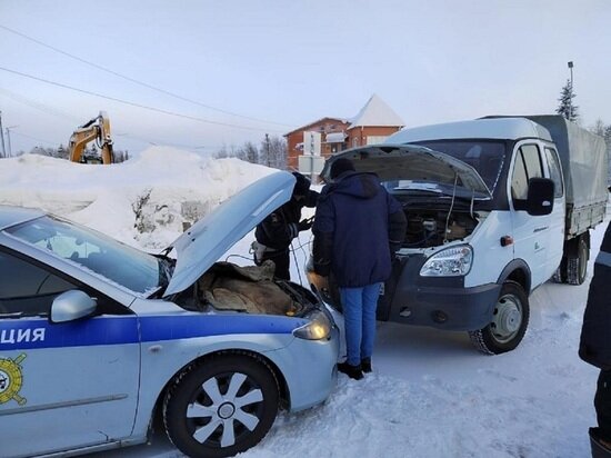     Фото: УМВД России по ЯНАО