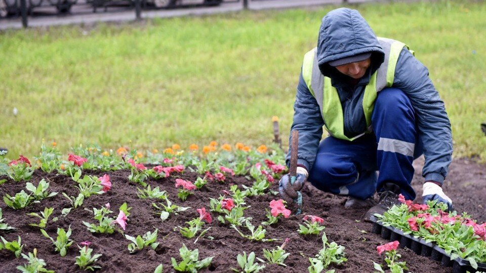     Фото:kirov-portal.ru