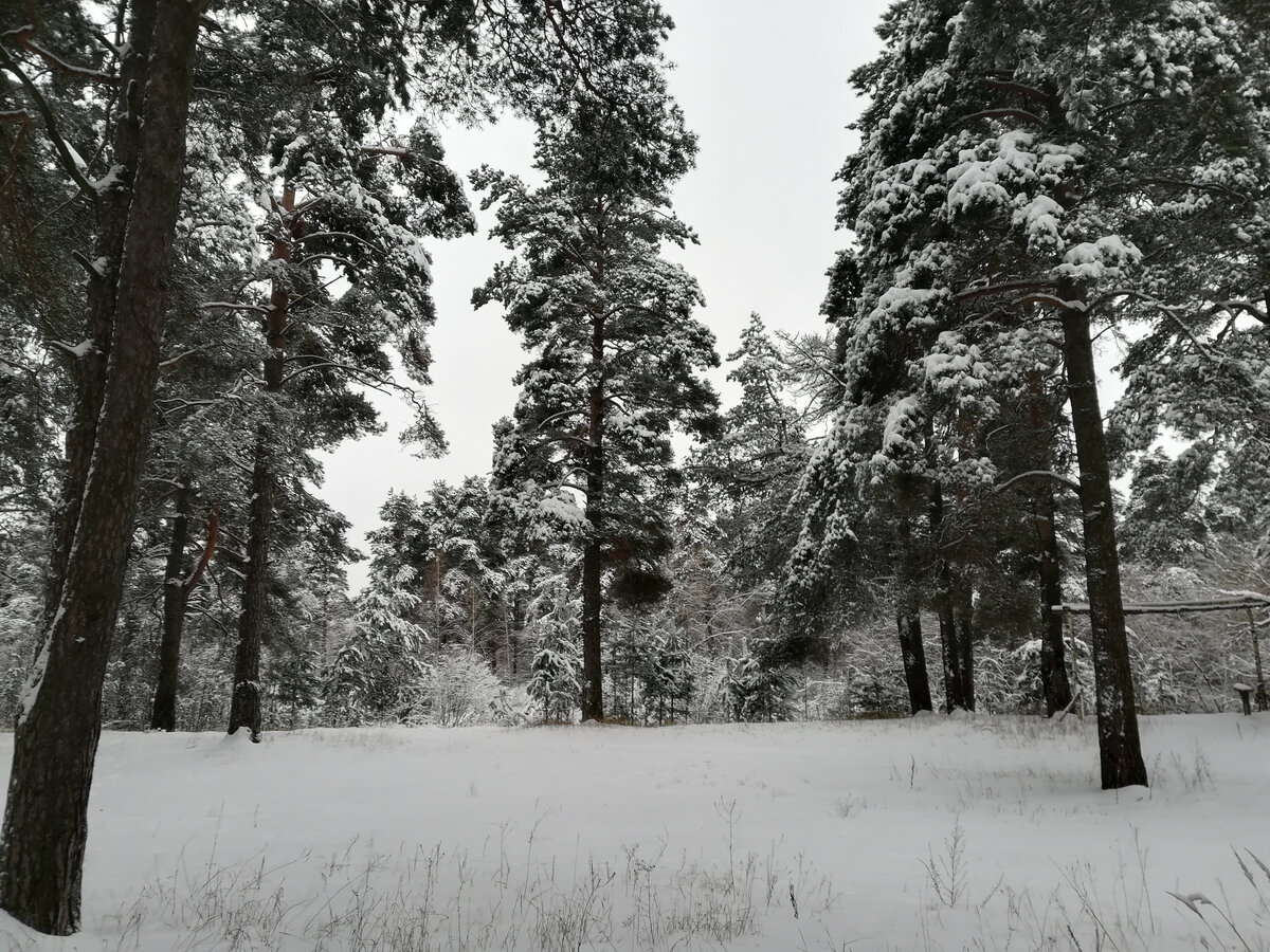 Фото из личного архива автора канала