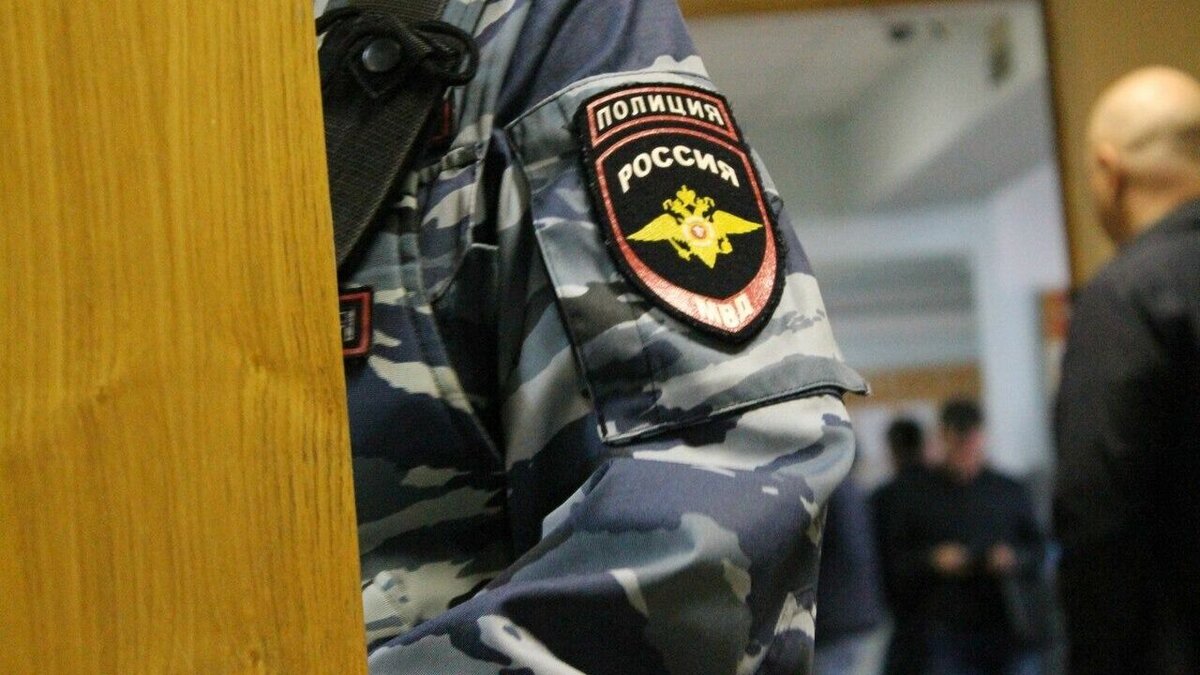     Активистка стала фигурантом дела о превышении должностных полномочий полицейским.