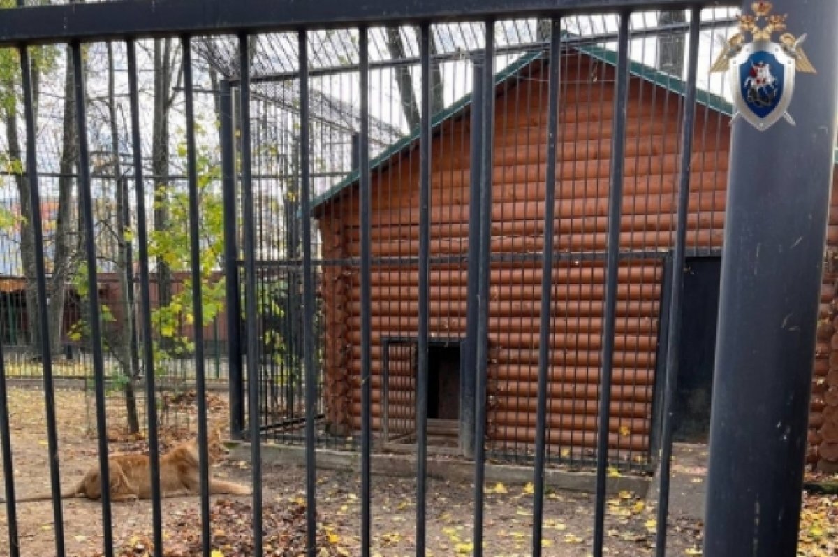    210 тысяч рублей штрафа получил зоопарк в Балахне из-за травмы сотрудницы