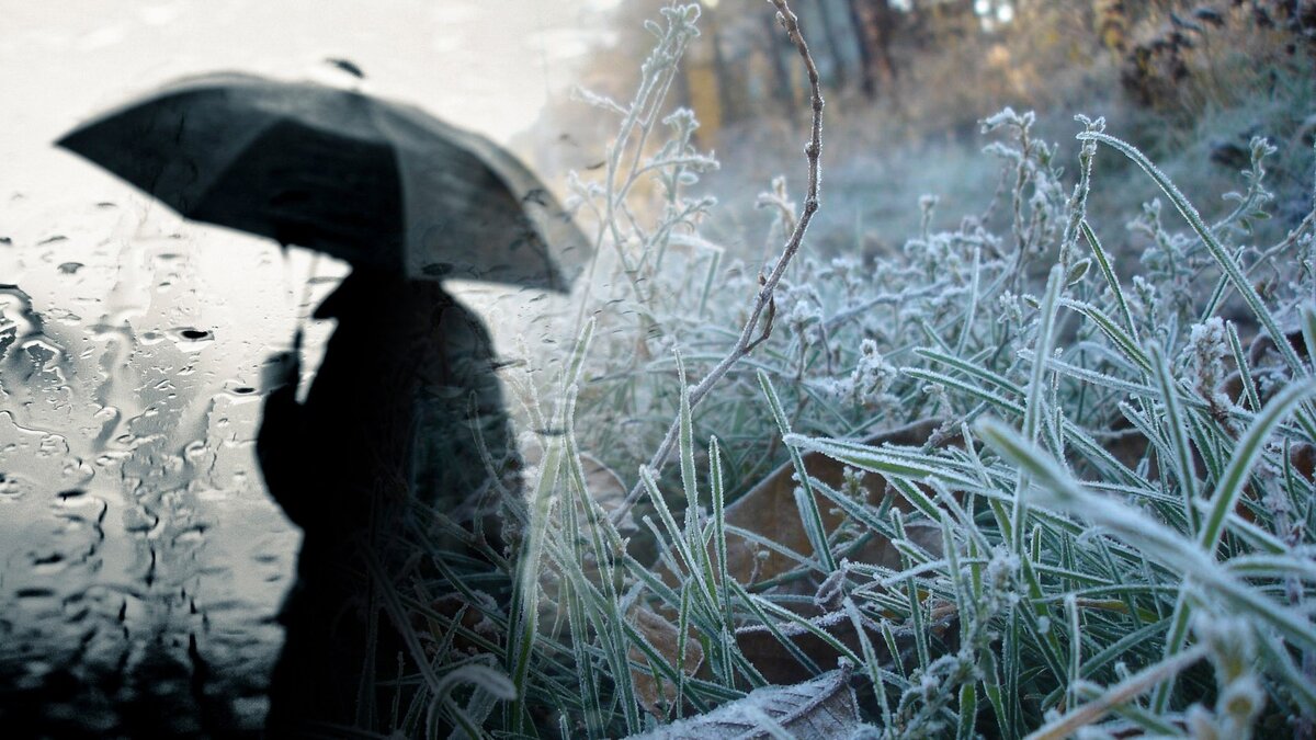 Фото: mzgazeta.ru