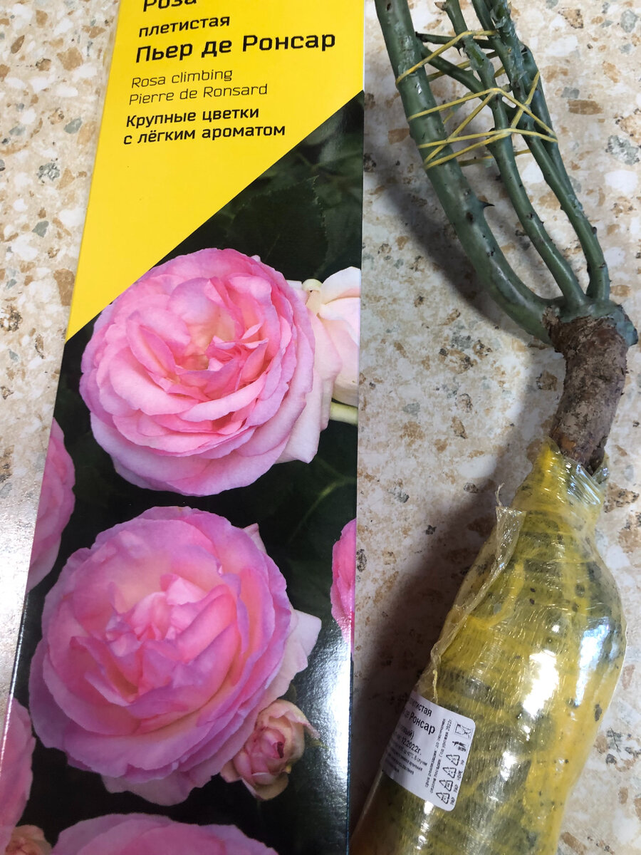 Производитель ООО "Центр Огородник",фото автора.