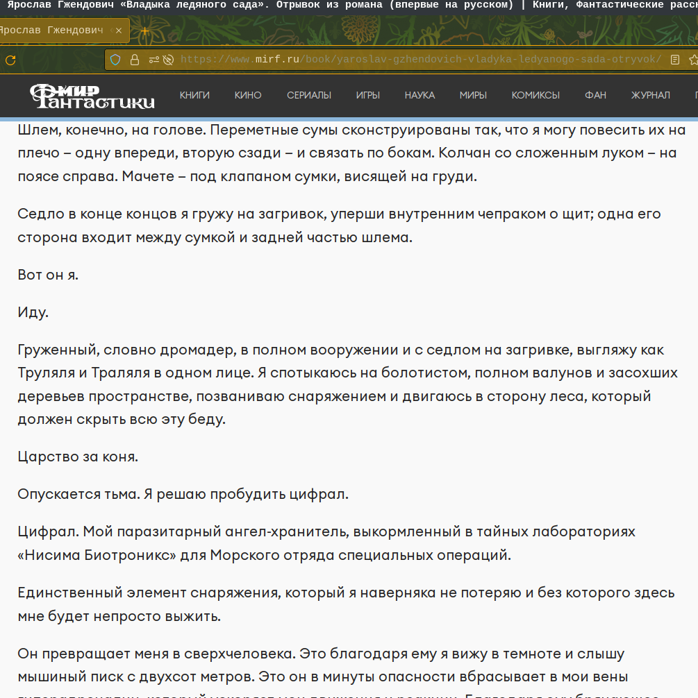 Пример авторского стиля, первая глава