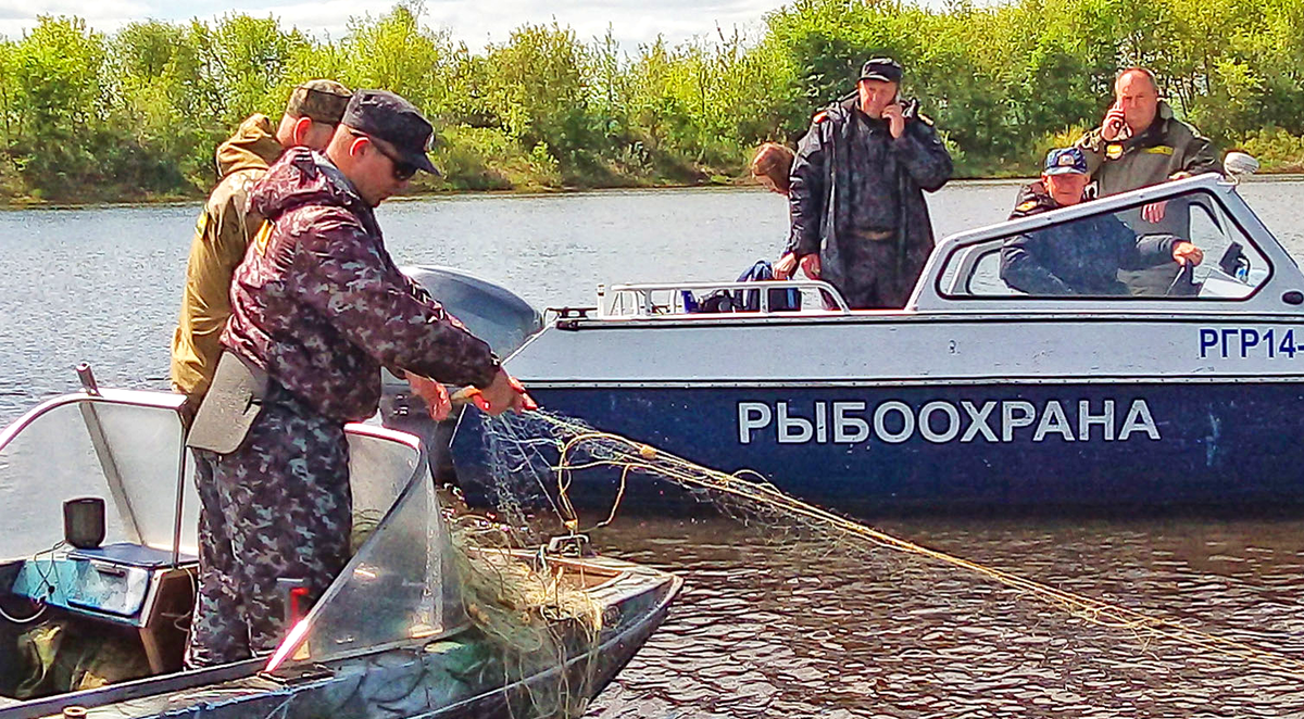 Рыбохрана работает (фото в свободном доступе)