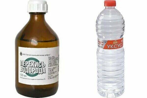 Источник фото: Яндекс Картинки