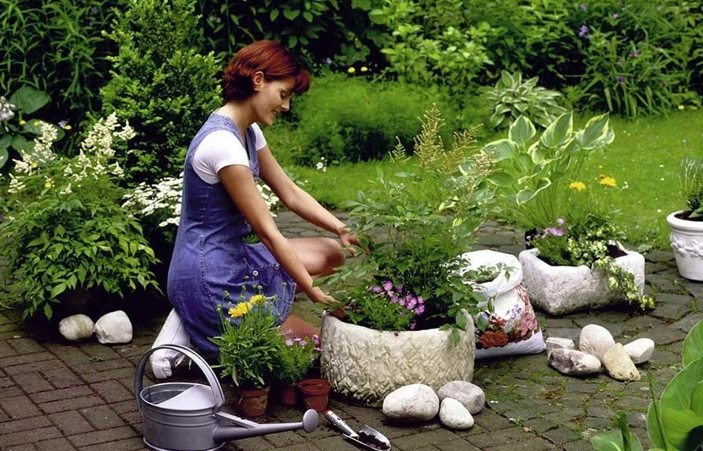 Изображение взято из открытых источников