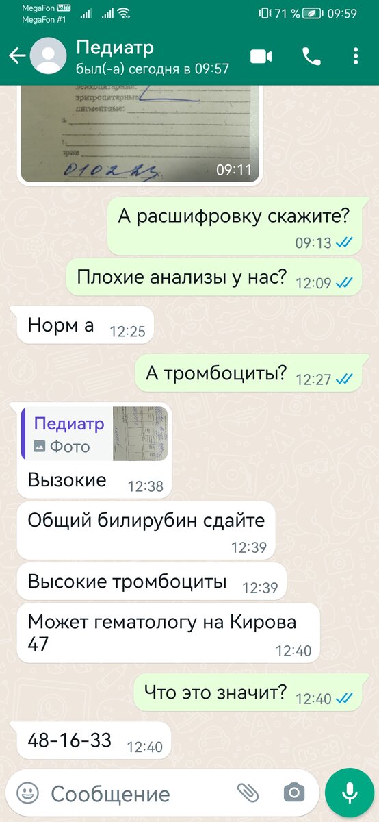 Скрин переписки. 