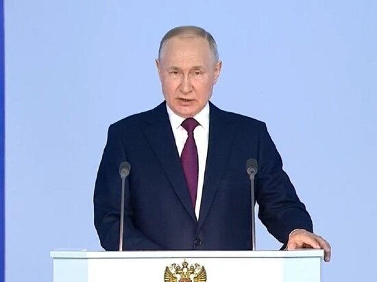     Фото: скрин трансляции из Федерального собрания