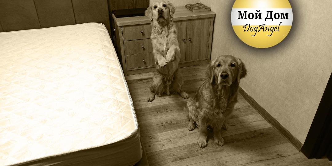 1:0 в пользу здравого смысла. Чем закончилась история с бракованным матрасом