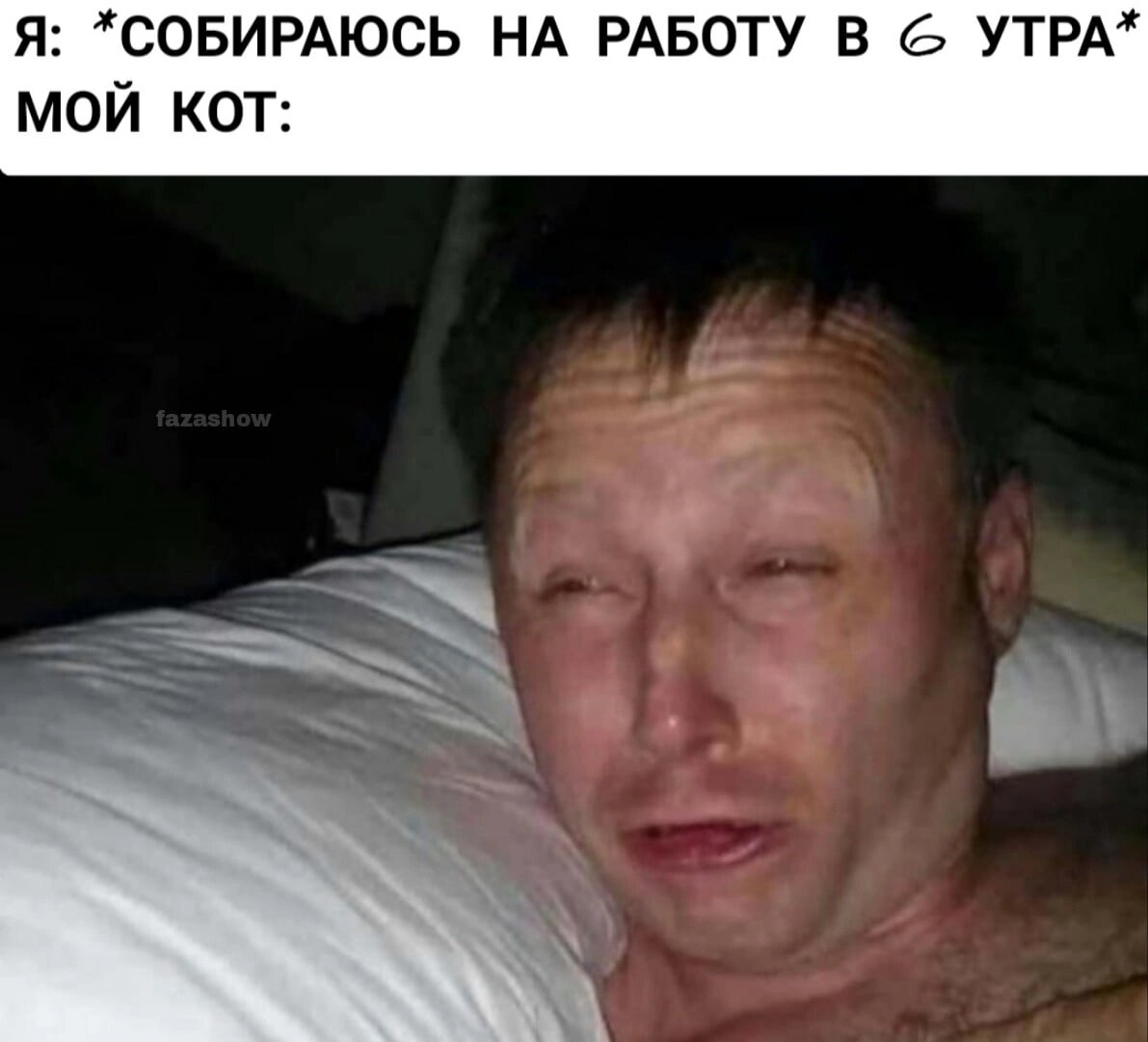 Зарабатывай мне на хавку