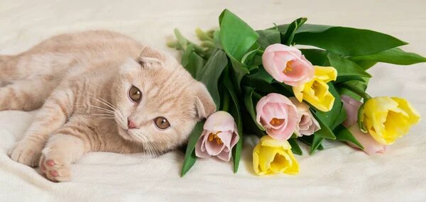 ���� �� ���������.