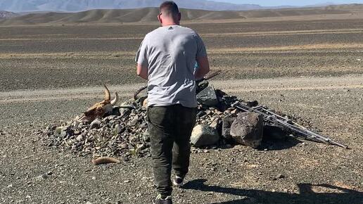 Приключения квартета КуГл&Go | Жертвенник, Монголия | Дзен