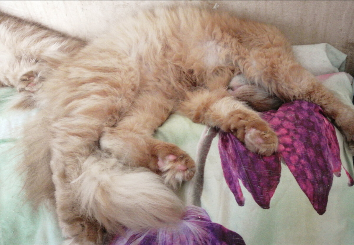 Надзуми Рей или просто Рей и не много от Тао)) 