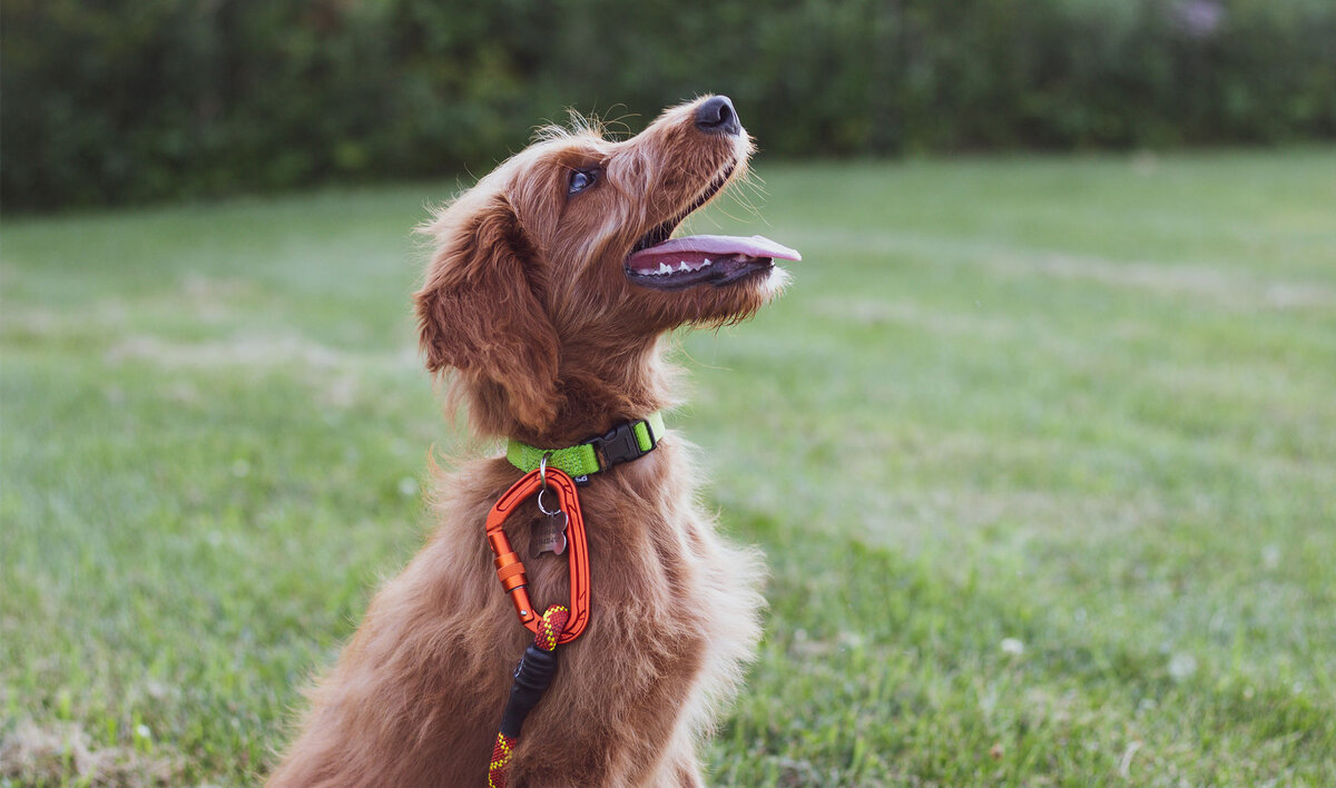 Фото: Reed Shepherd / © unsplash.com