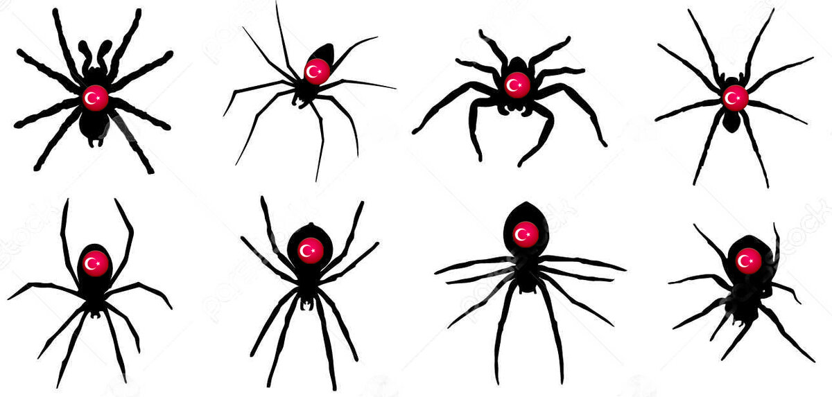 Конкуренция на выборах будет крайне жесткой