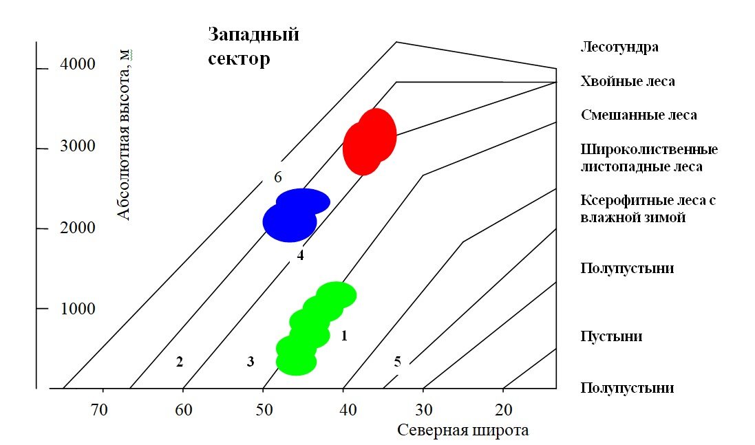 Западный сектор северных материков с океаническим климатом 
1 - Мадрид, 2 – Осло, 3 – Москва, 4 – Давос, 5 - Лос-Анджелес, 6 - гора Герлах, высшая точка Карпат (Словакия). Биомные ареалы сосны бальфура, Pinus balfouriana (красный), кедра европейского, Pinus cembra (синий) и тиса ягодного, Taxus baccata (зеленый). 
