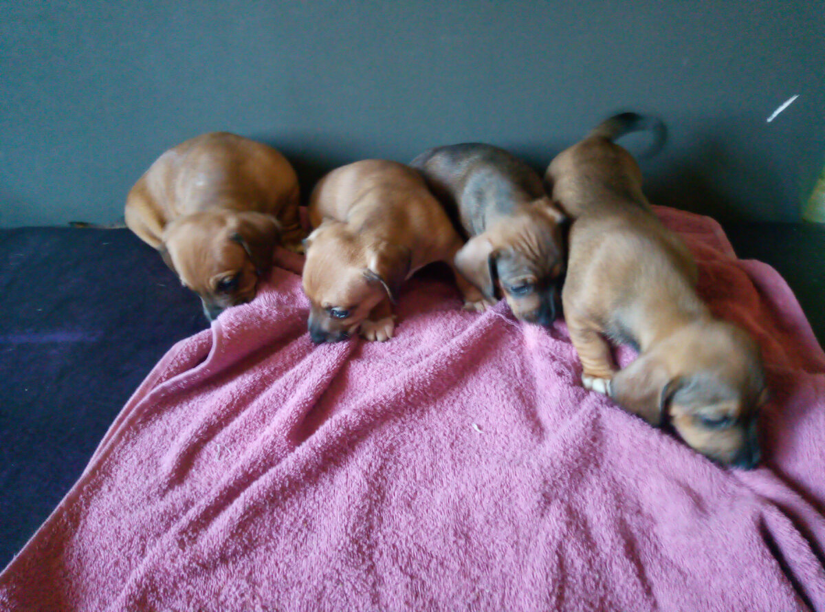 фото сделано автором.