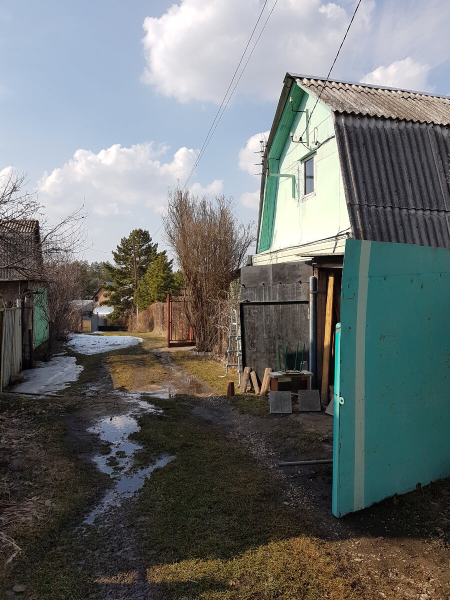 В чём прелесть жизни на даче в заповедных местах без электричества,  интернета и воды. | Путешественница с ложкой | Дзен