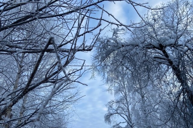    Когда в Петербурге закончатся аномальные снегопады?