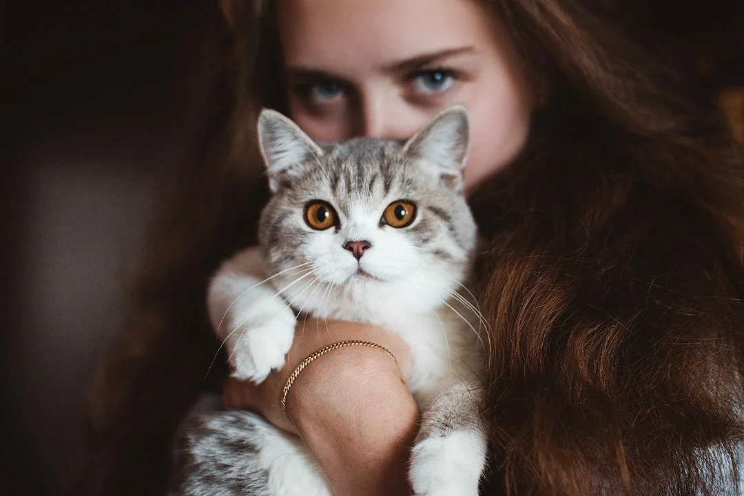 Источник фото: dzen.ru