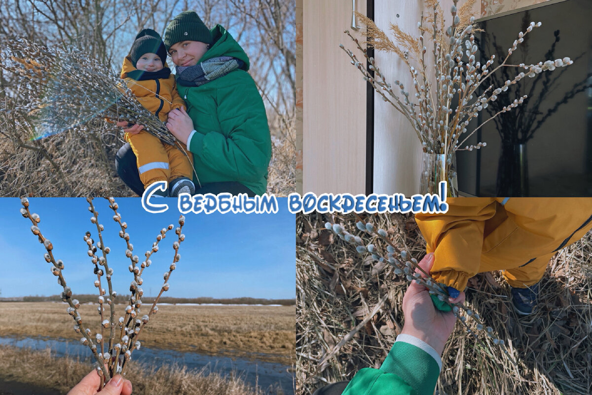 Фото автора.