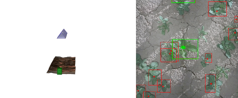 "Зрение" Vulcan. Машина умеет различать сорняки и культуру    фото FarmWise 
